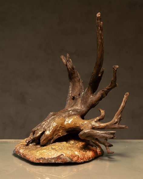 Pescador de ilusões