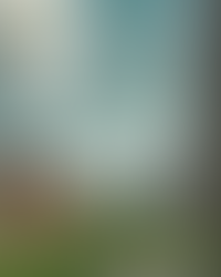 AUSG and AUEC share Updates on By-Elections, UG Council and Reserved Seats for International Students