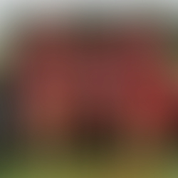 Down But Not Out: How Ashoka’s Sports Teams Combatted the Coronavirus