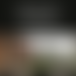 Ashoka University Announces 500 New Scholarships