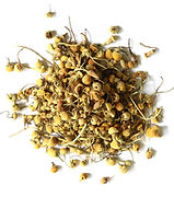 Chamomile_Flowers_Whole_H00137-069.__63332.jpeg