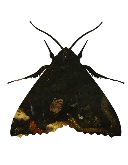 Untitled-1.png
