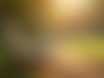 Challenging Mental Health Stigma: Breaking the Silence and Promoting Acceptance