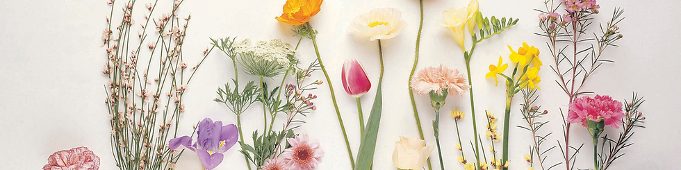 Colorful Pastel Modern Personal LinkedIn Banner.png