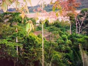 From the Blind, Peruvian Amazon