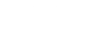 White no Tagline - Leadership Buffalo Logo.png