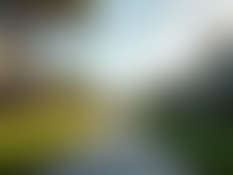 Maximise Returns with Investment Property Management