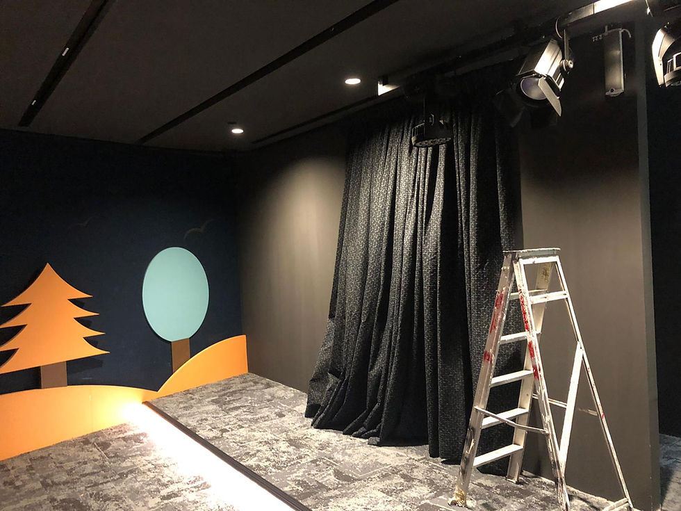 theatre curtain (2).jpeg