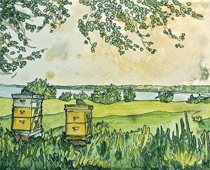 minister's island beehives