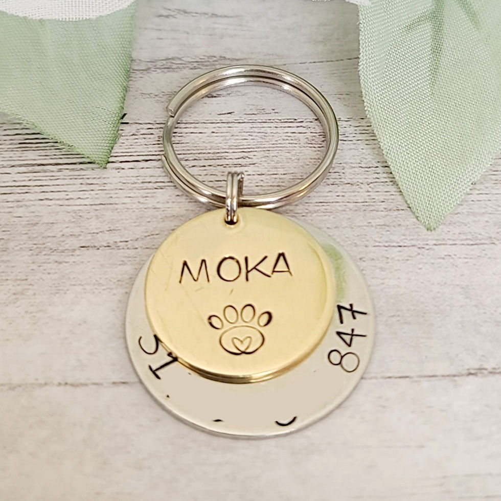 Gold on Silver Circle Pet Tag