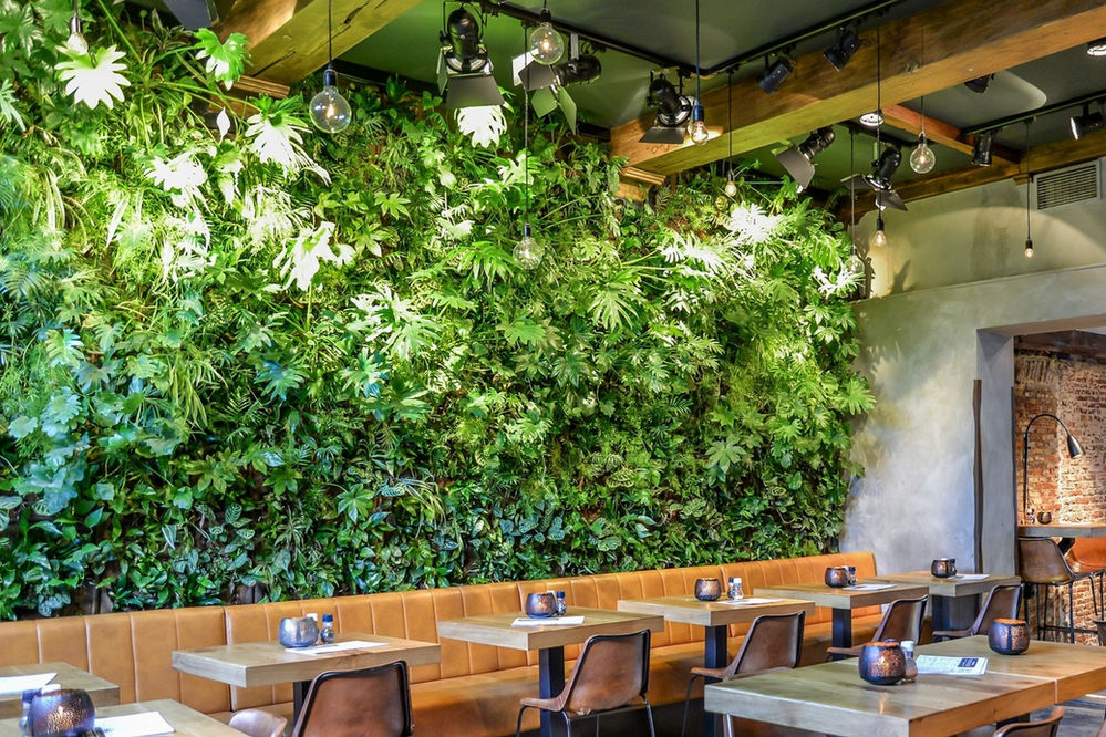 Top 10 plants for an indoor Living green wall/ vertical garden!