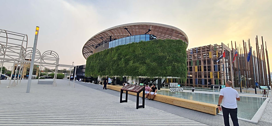 #sempergreenwall.jpg