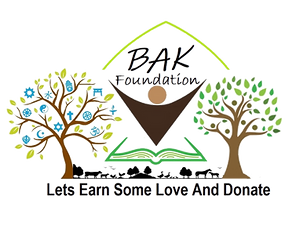 BAK Foundation Logo