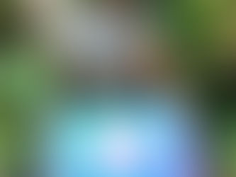 ❓ Question : « Entre le Reiki et la voyance, laquelle de tes activités préfères-tu ? »