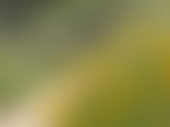 55 never looked so good!