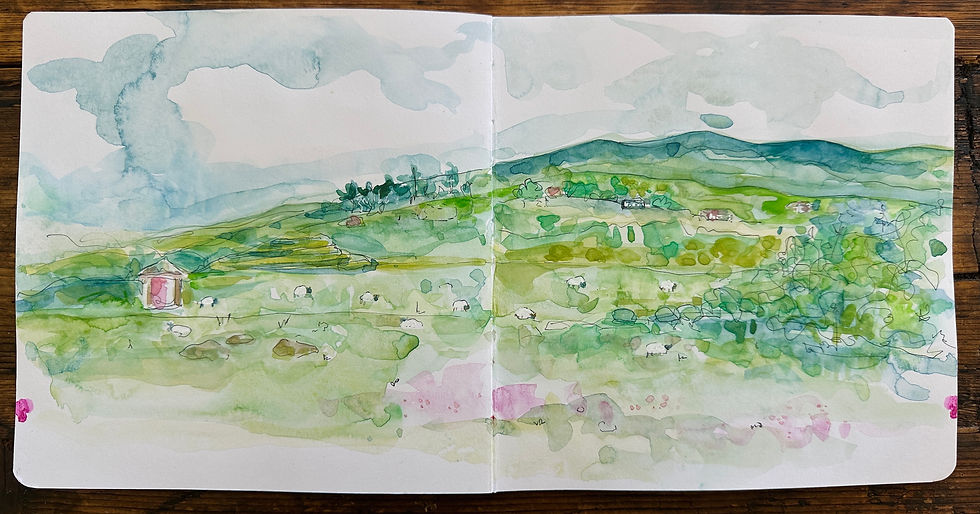 Sketching after class on the sound! All those sheep!
