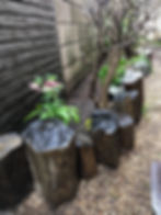 花壇制作