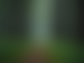 Discover Sustainable Forestry Practices for a Greener Future with Eco-Friendly Forestry Techniques