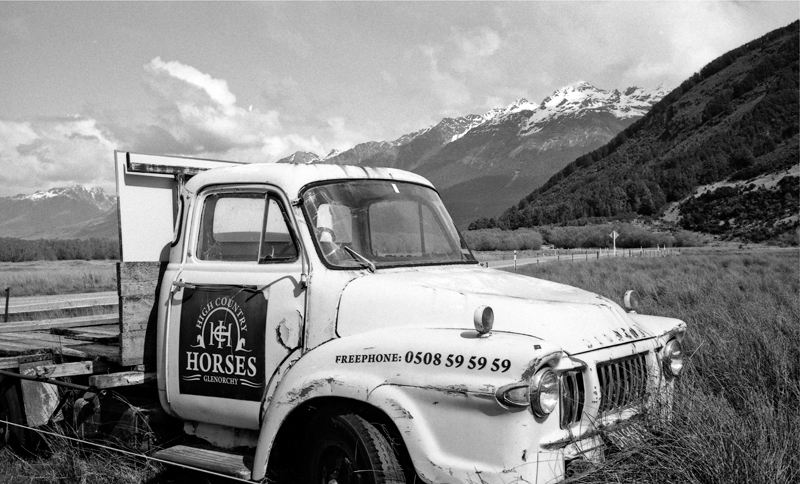 Glenorchy horses