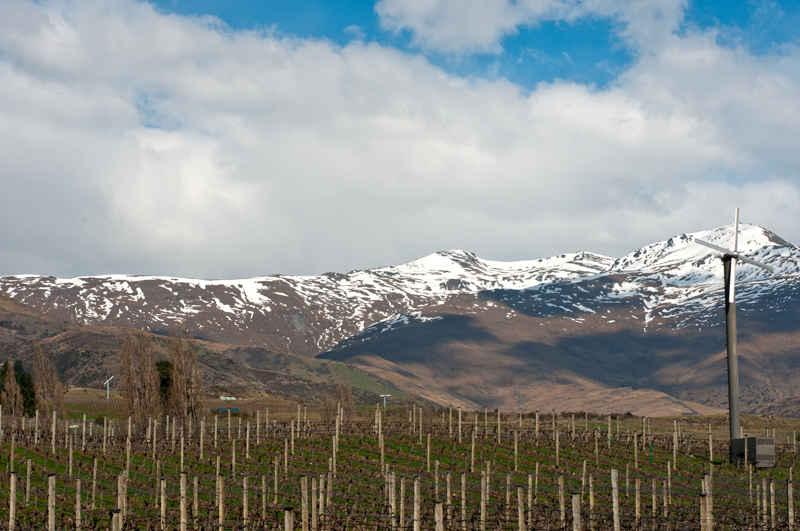 New Zealand image