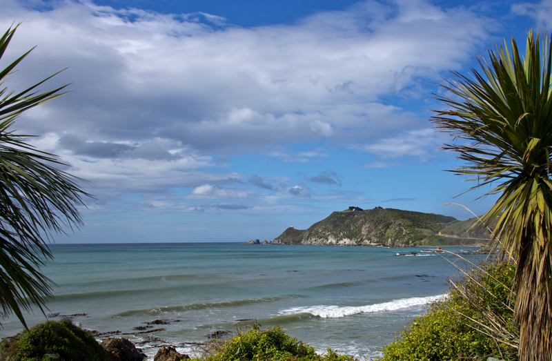 New Zealand South Is image