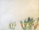 Camerion Danielsi, 2017