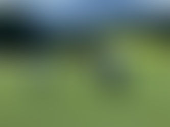 ゴルフ交流会が六石ゴルフ倶楽部で開催されました!
