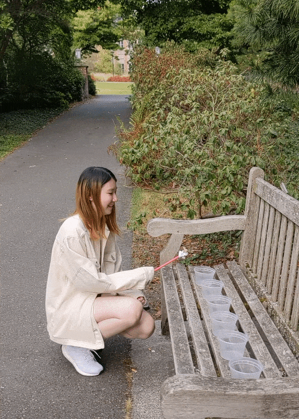 ezgif.com-gif-maker (1).gif