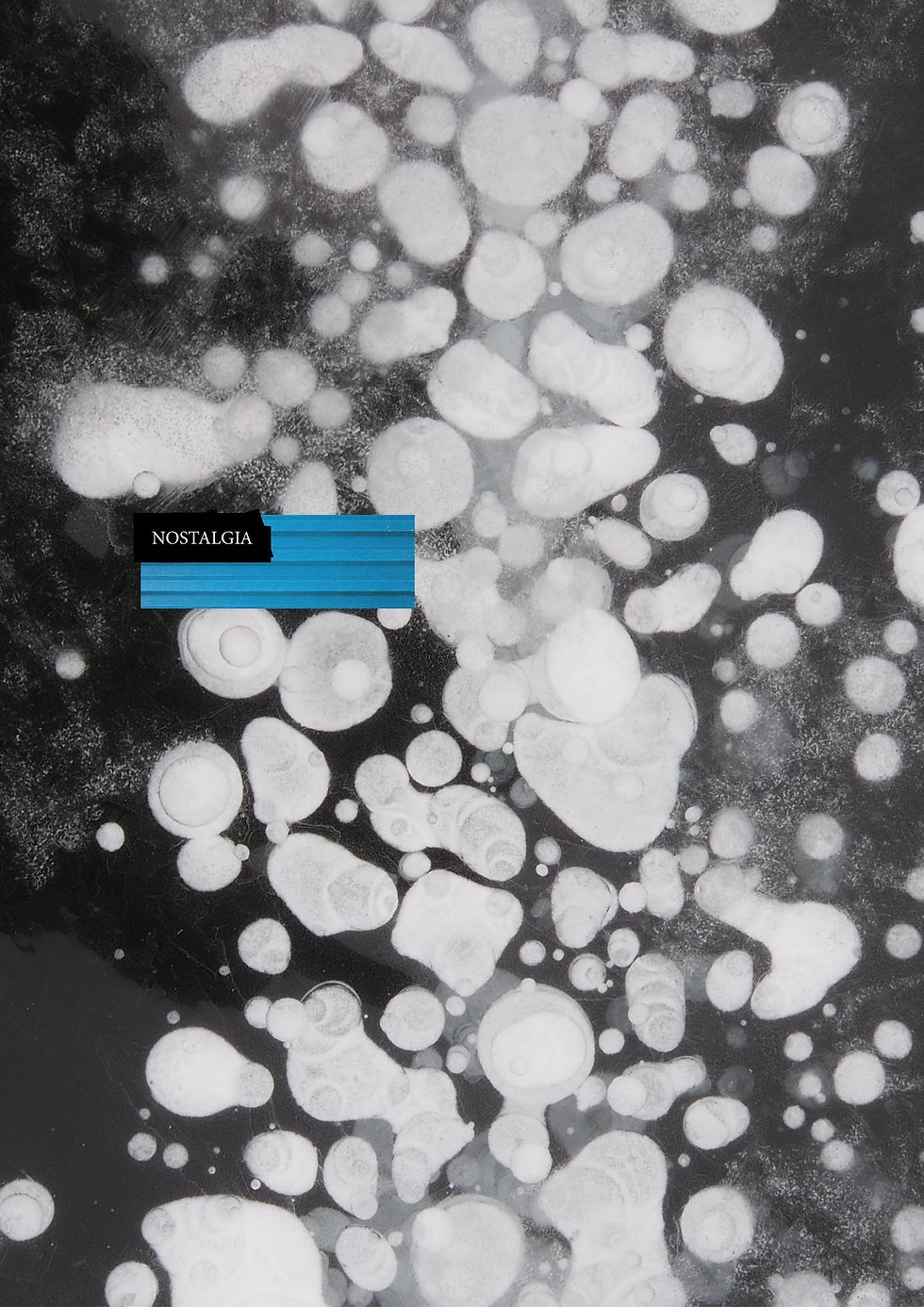 Submerged fine art photography zine cover with bubbles