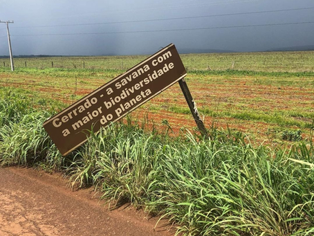PET Paper - A Transformação AgrÃcola no Cerrado