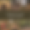 Thumbnail: Faded Forest Lightroom Preset