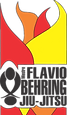 flavio.png