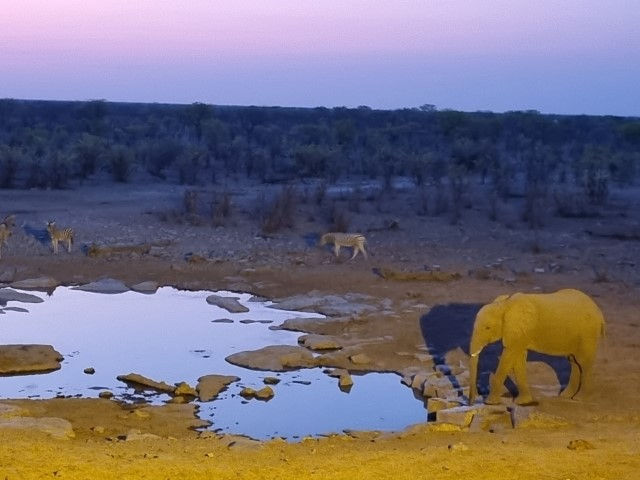 Entardecer em Halali
