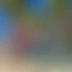 Sandy Island