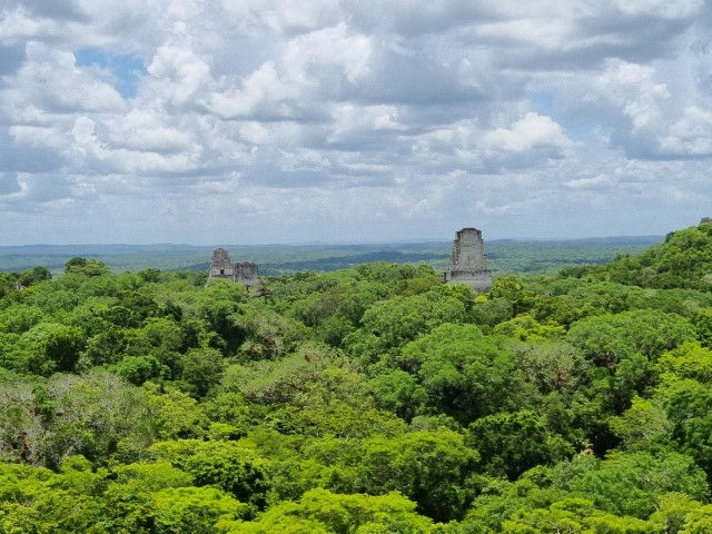 Tikal 