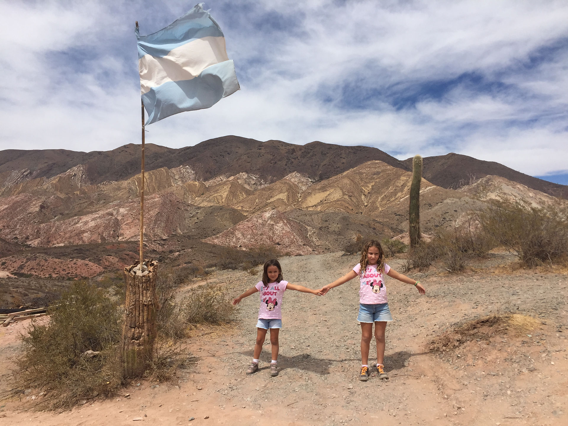 Parque nacional los Cardones