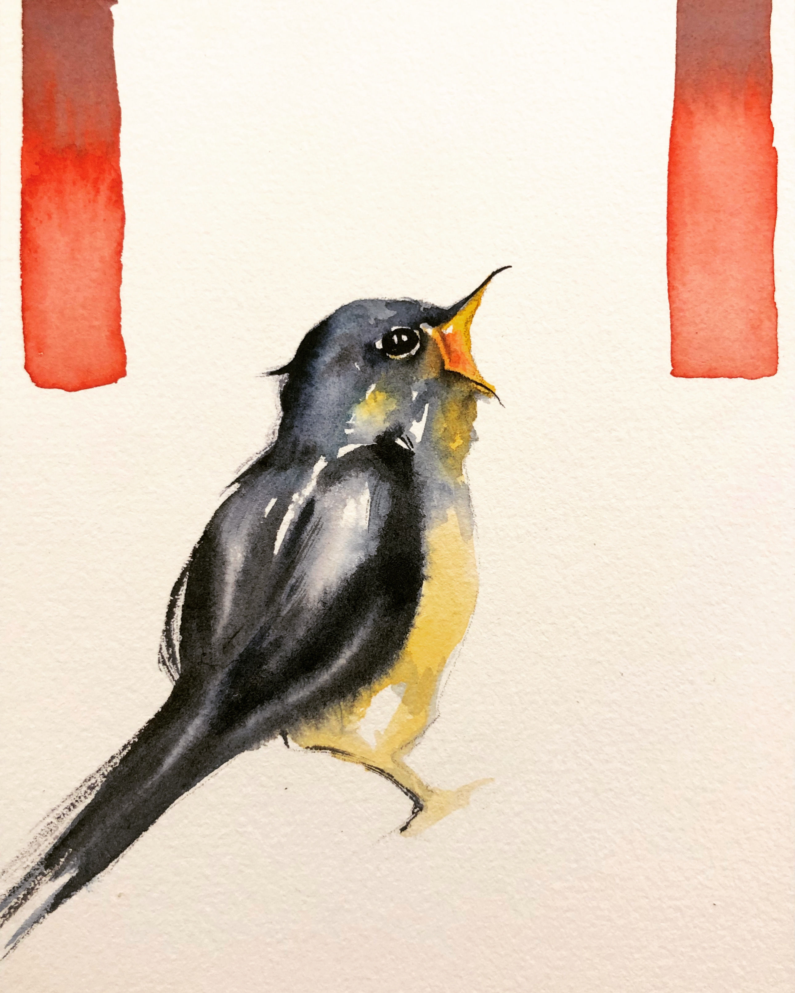 Watercolor 468