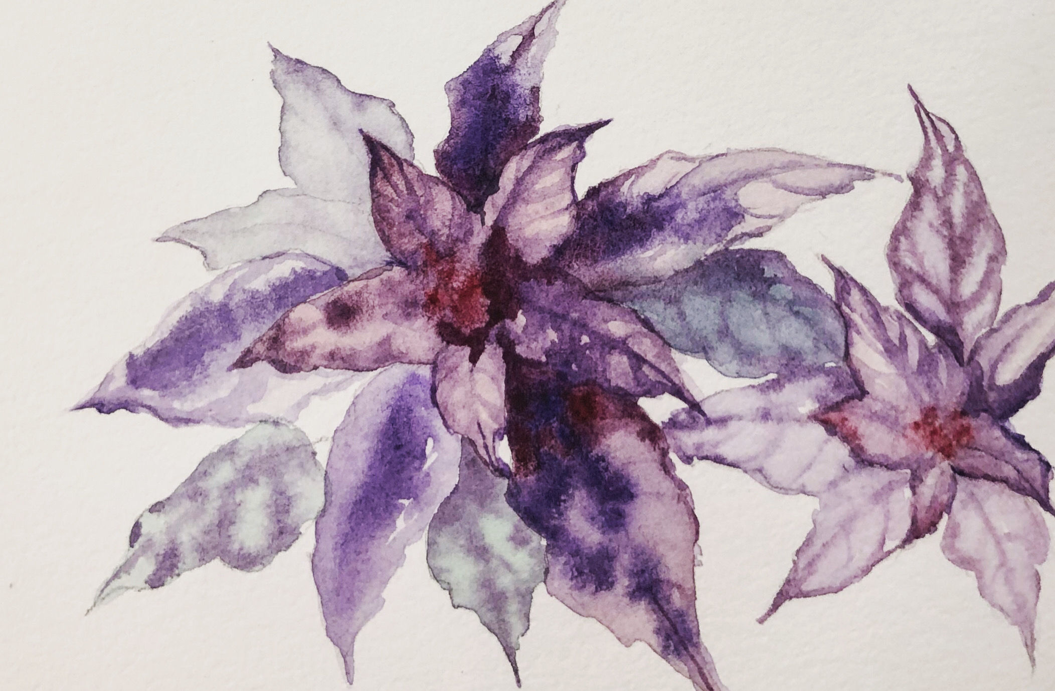 Watercolor 224