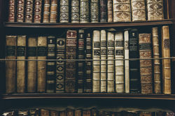 Administrative Hearings & Appeals Representation