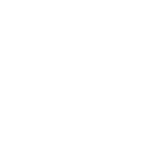 Audi logo