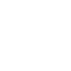 Toyota logo