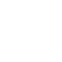 Ford logo