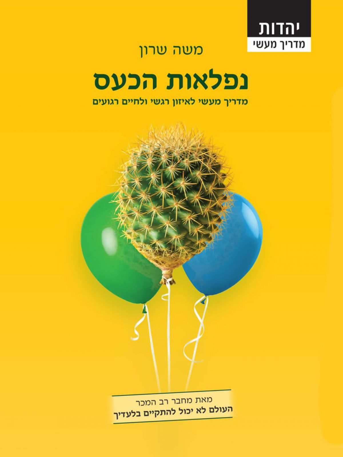 נפלאות הכעס\משה שרון