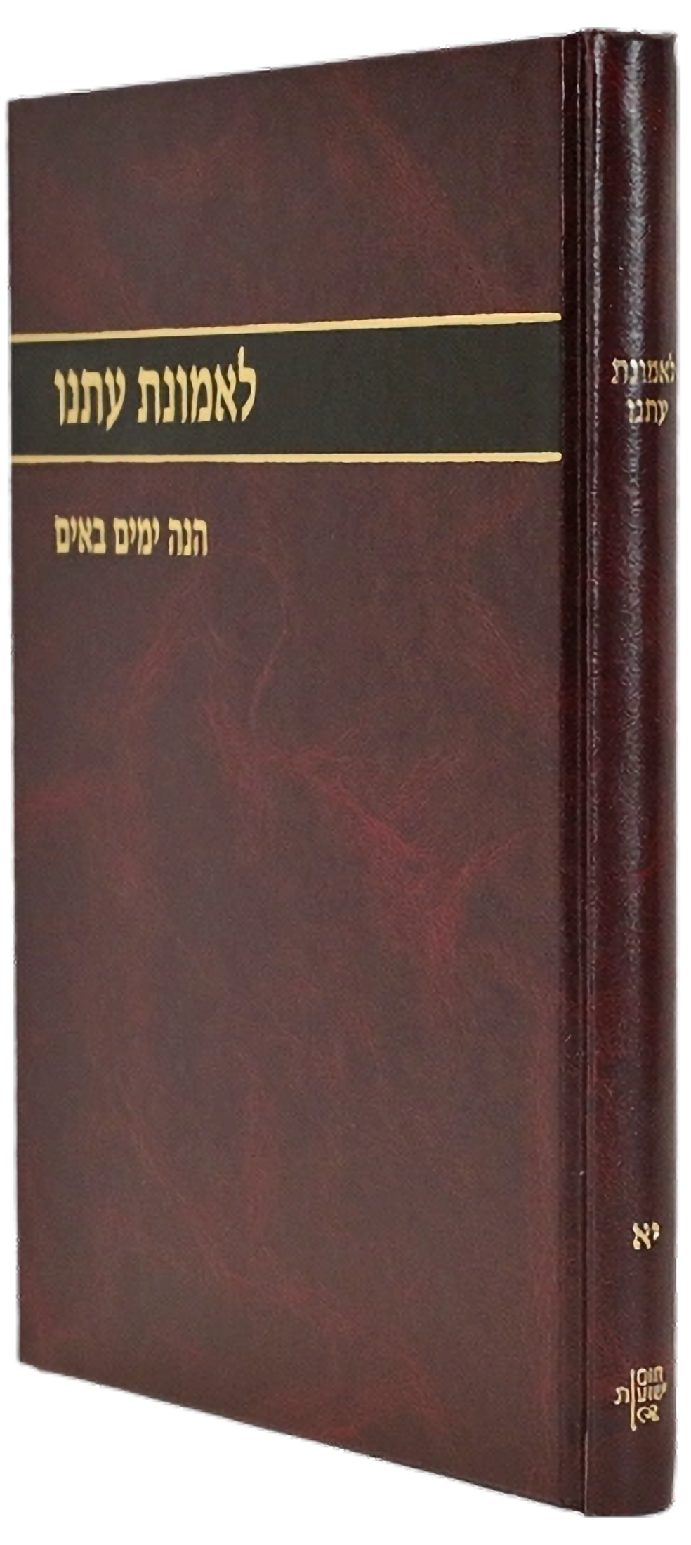 לאמונת עתנו י"א - הנה ימים באים\הרב צבי ישראל טאו