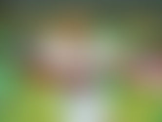 الزمالك يحسم الجدل بشأن وصول عروض لمصطفي محمد