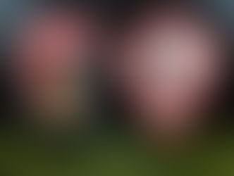 بث مباشر لمباراة الزمالك امام أف سي مصر فى الدورى العام 9م