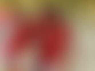 تعرف على مشوار الاهلى فى دوري أبطال إفريقيا حتى المباراة النهائية