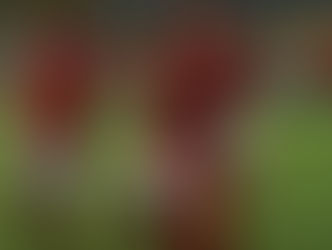 عاجل : تعرف على دكة بدلاء الاهلى لمواجهة طلائع الجيش