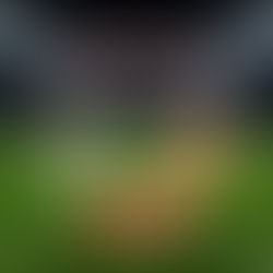 بث مباشر مباراة ريال مدريد و إشبيلية اليوم 20 -12-2025 فى الدورى الاسبانى 10م