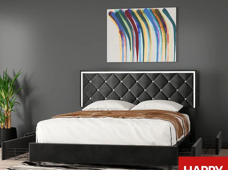 MONICA WOODPECKER.webp